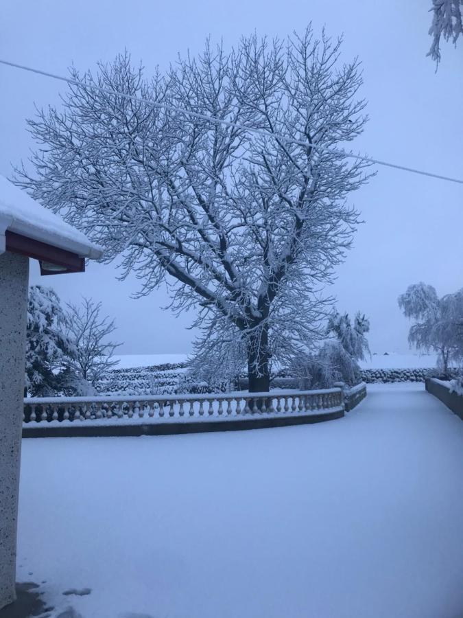 Lovely 2-Bed Cottage At The Foot Of The Mournes Нюри Екстериор снимка