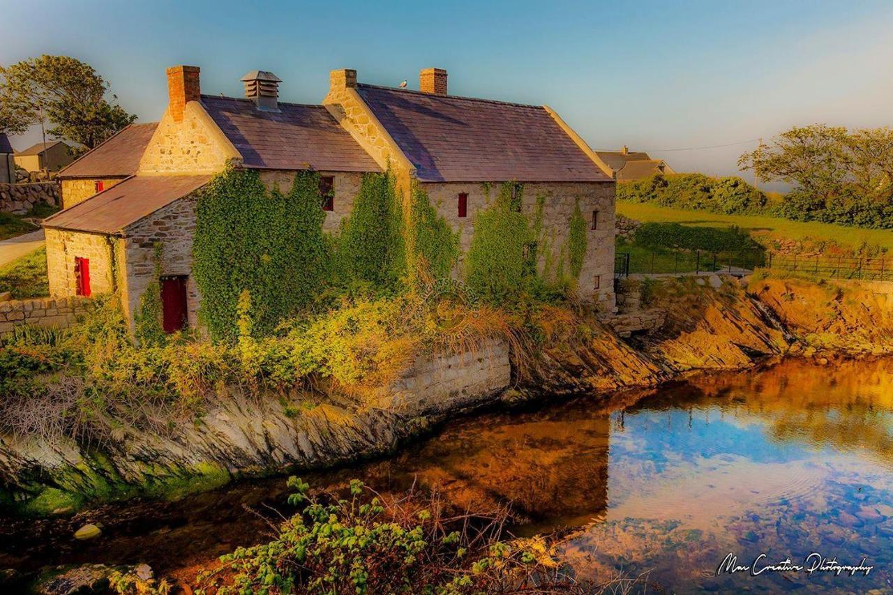 Lovely 2-Bed Cottage At The Foot Of The Mournes Нюри Екстериор снимка