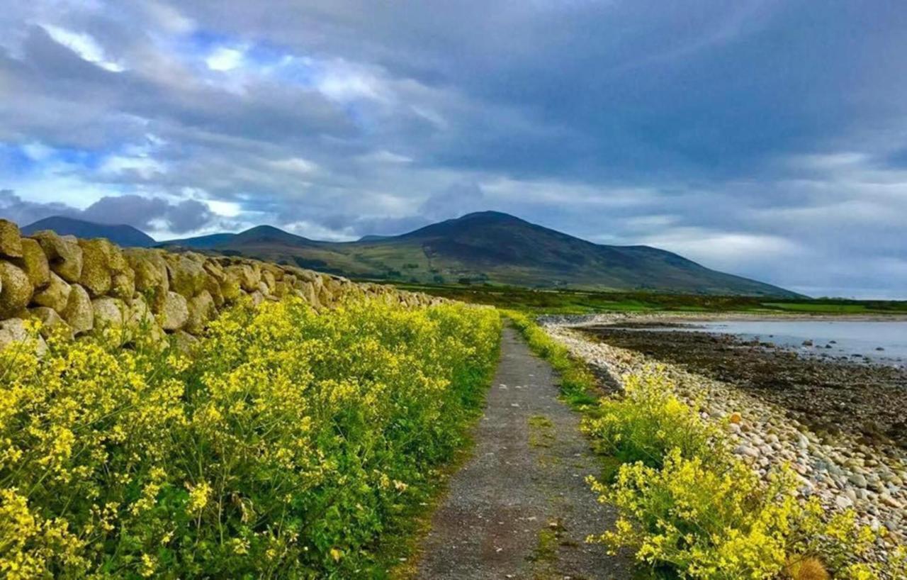 Lovely 2-Bed Cottage At The Foot Of The Mournes Нюри Екстериор снимка